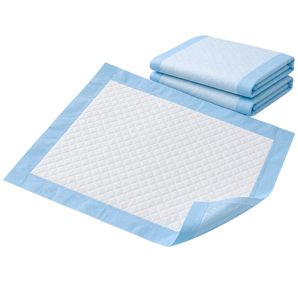 Illustrative design of Puppy and senior dog training pads; catalog representation on a transparent background