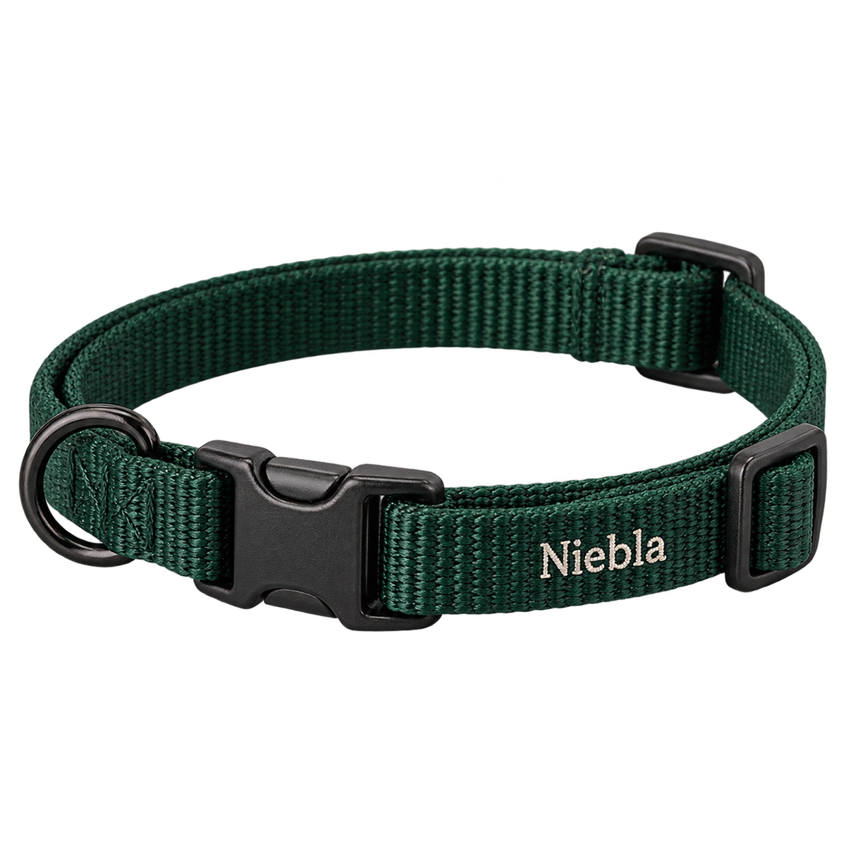 Diseño orientativo de collar para gato personalizado sobre fondo transparente. Producto final por confirmar con proveedor.