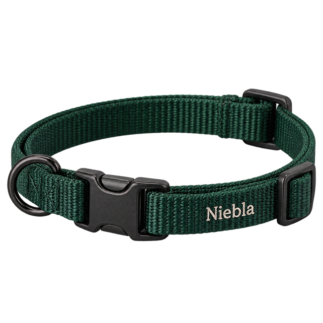 Collar para gato personalizado