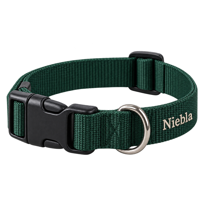 Collar para perro personalizado