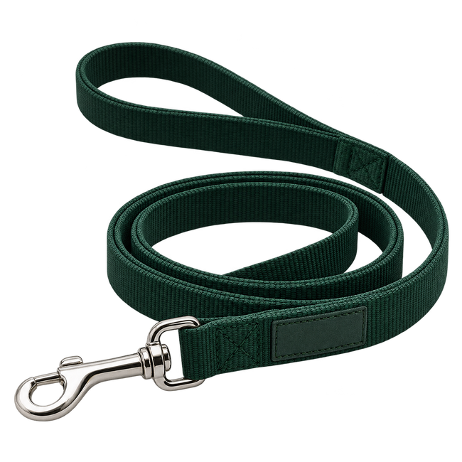 Correa fija personalizada para perro